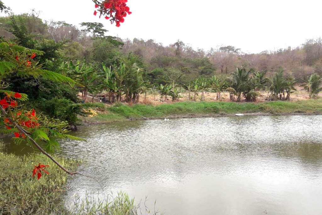 Levera Pond