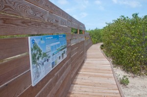 Boardwalk and sign