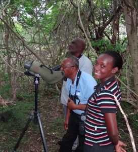 Participants of the CBT Interpretive Guide Training in Grenada