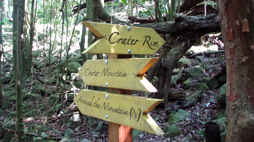 Quill Directional Signs (Photo by Hannah Madden)