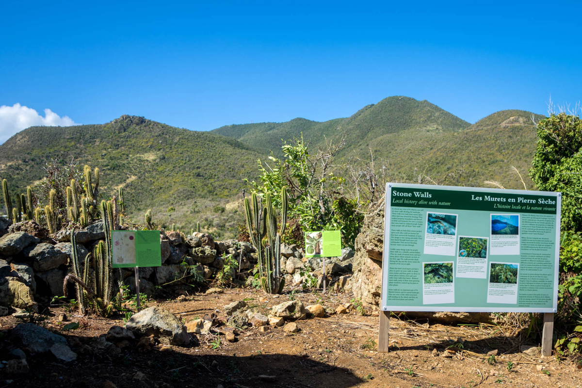 Interpretive Signage at Amuseum Naturalis